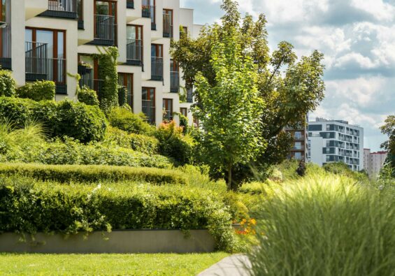 état du marché immobilier neuf toulouse 2025